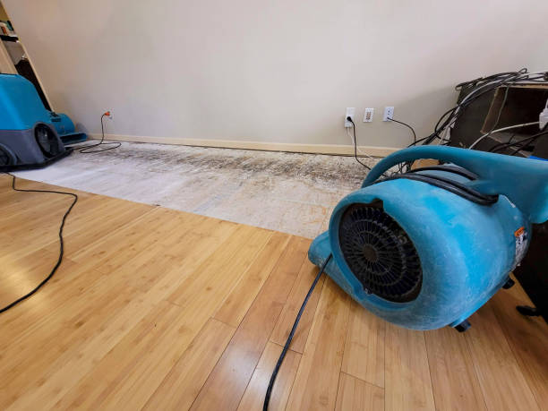 Professional Structural Drying technician working in Dalton, PA